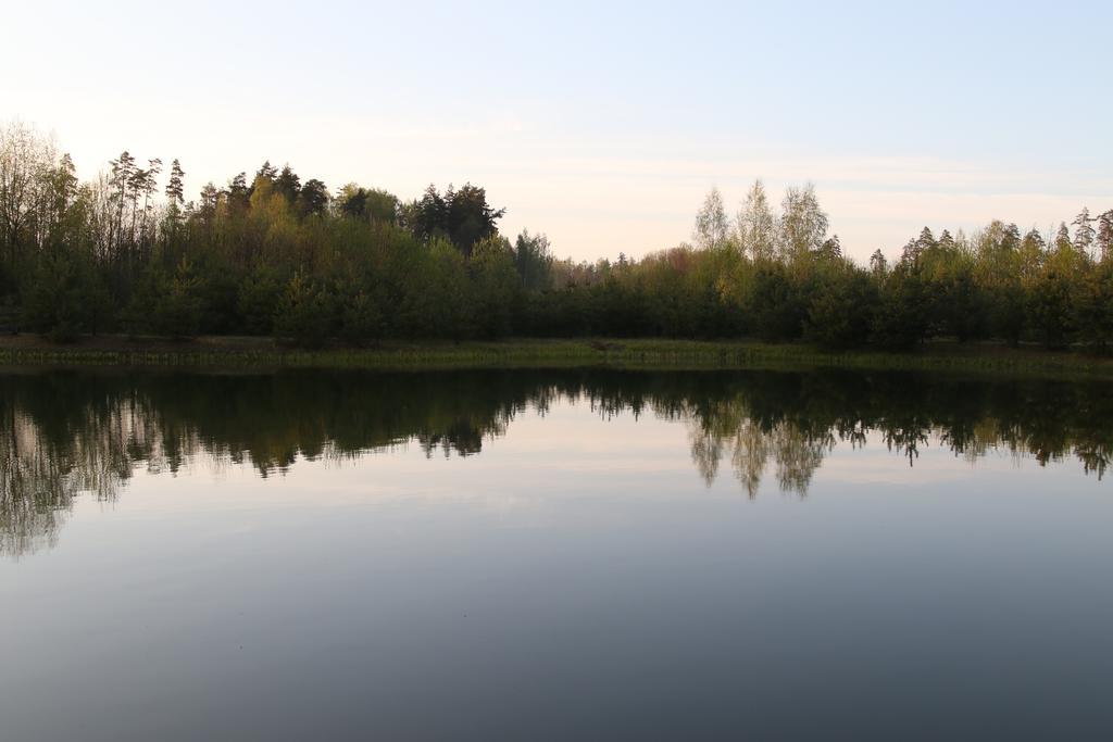 Viesu Maja Forrest Villa Dzimtmisa Luaran gambar